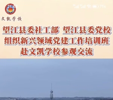 党建铸魂育桃李 以文润校绽芳华——记望江县 文凯学校汪毅的出彩人生