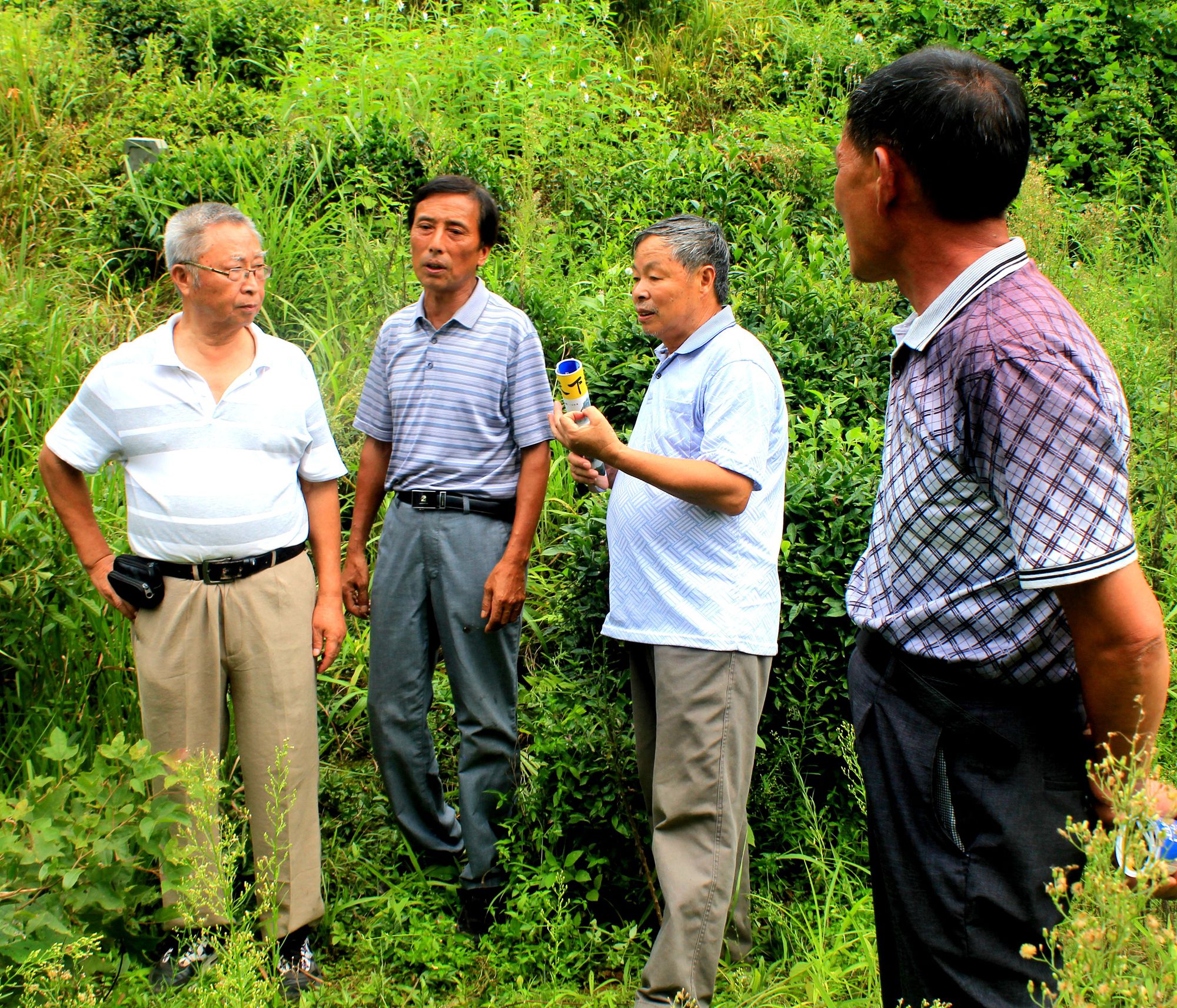 图为：8月26日，汪柏树教授（左一）和当地村民在商谈.JPG