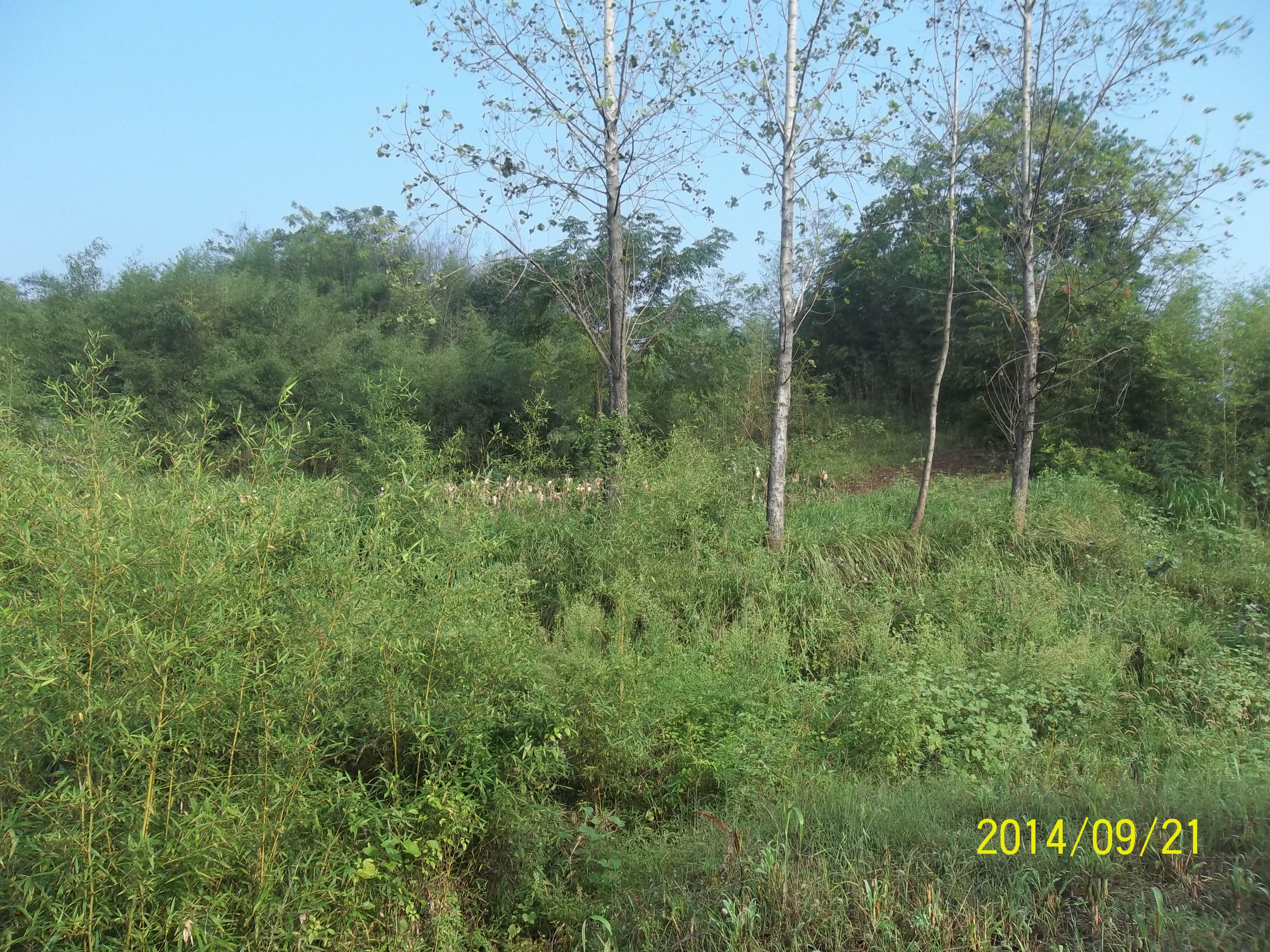 唐模山泉寺遗址
