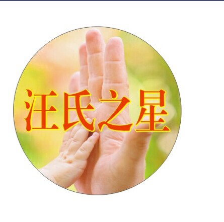 汪氏之星标志.jpg