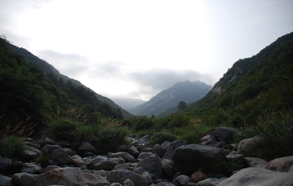 风雨欲来龙潭冲