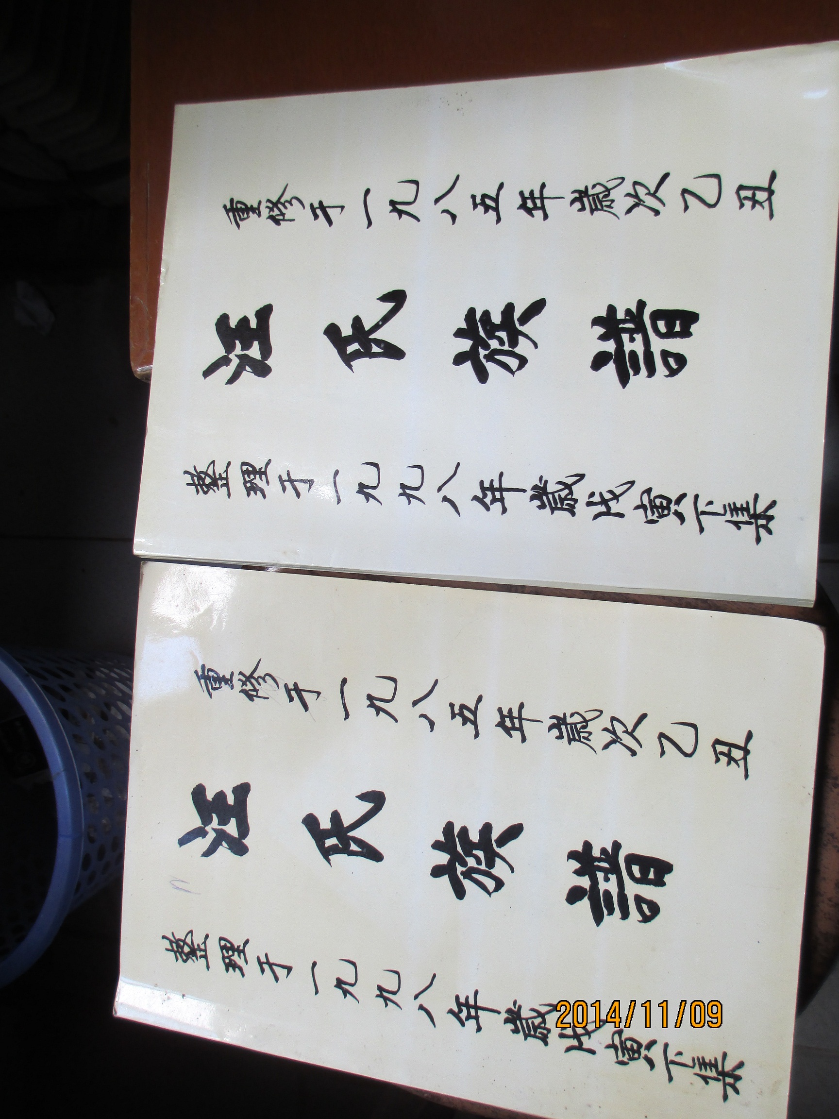 吴川电白 180.JPG