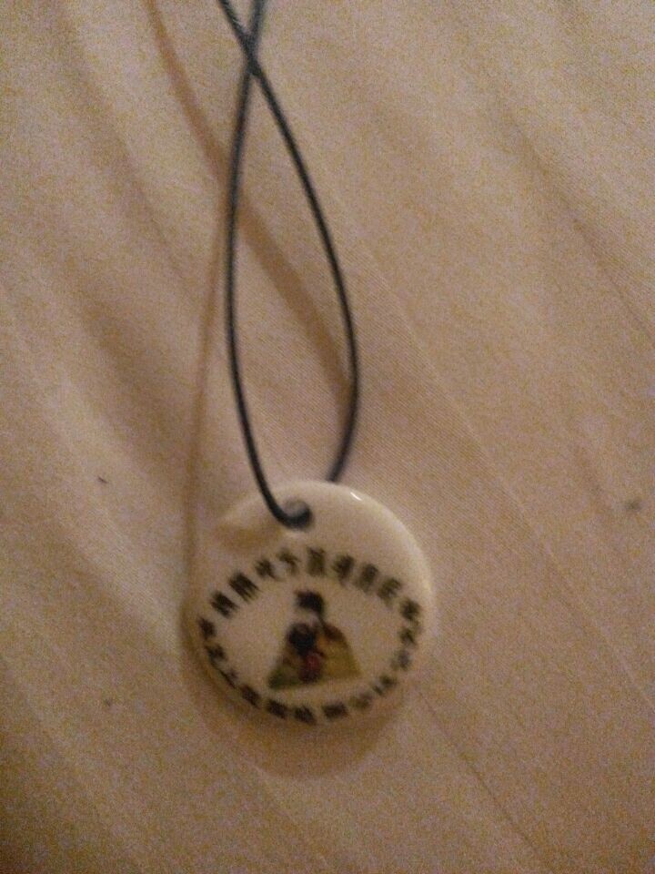 庆典专用汪氏会章