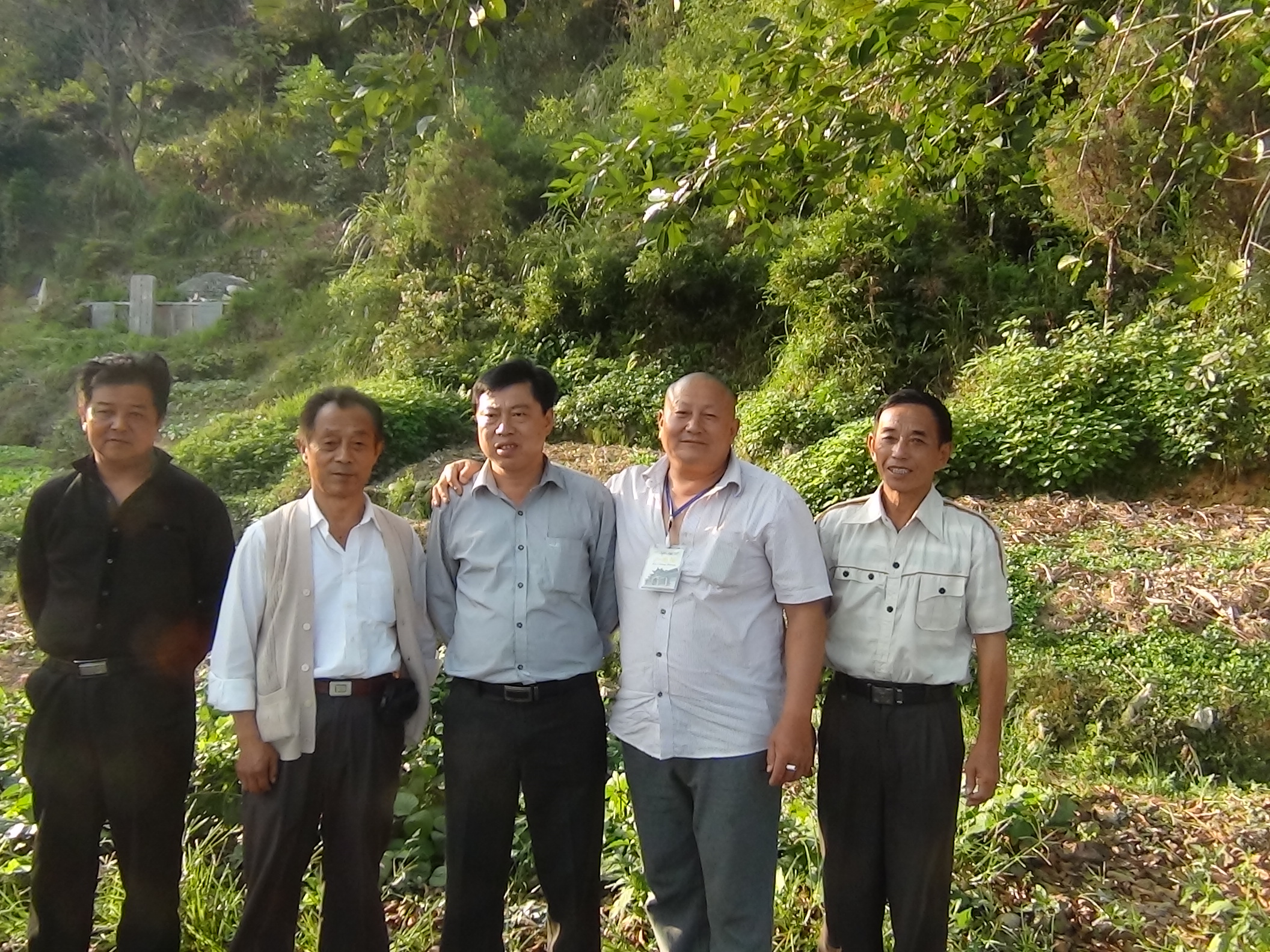 好文章，拜读了！大畈中元公墓合影