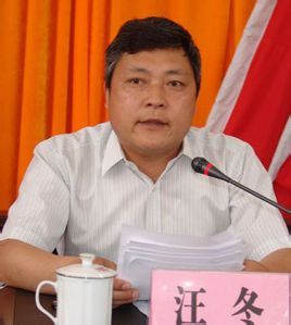 汪冬任金寨县委书记