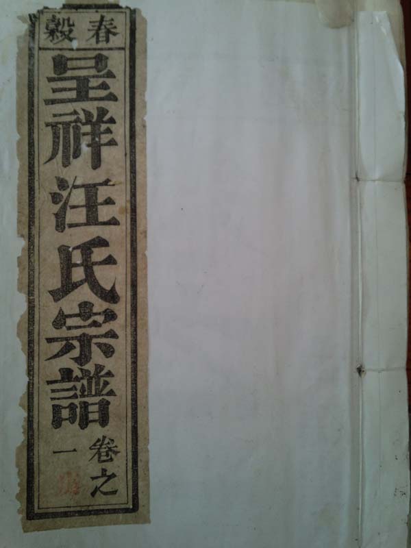 家谱封面.jpg