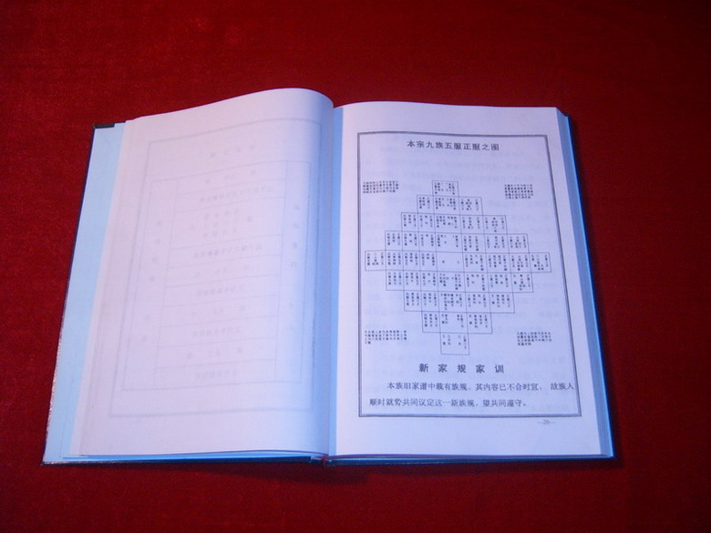 《大坪汪氏家谱》内页
