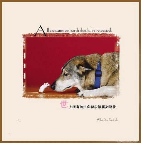 如果失去了平等，就没有什么可谈的了