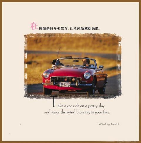 无论有多忙，都要去户外散散步。