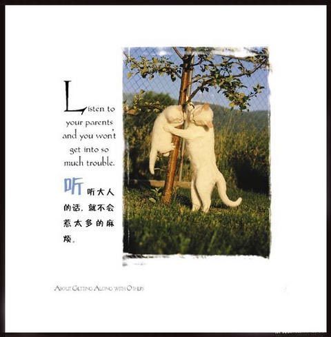 许多本来可以避免的错误和缺憾往往是因为年轻气盛造成的