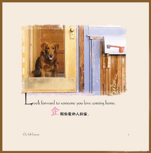 等待常常是一种甜蜜。