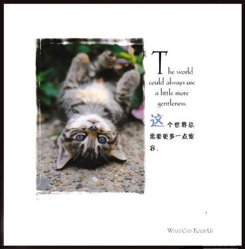 生气是用别人的错误来惩罚自己