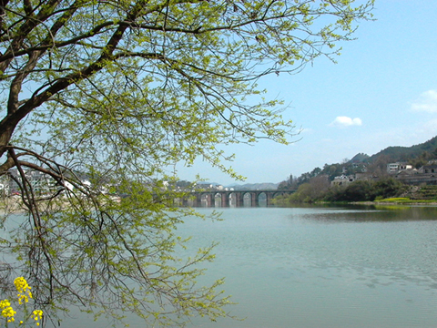 水环境2 副本.jpg