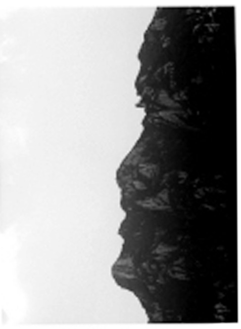 如果把照片竖起来看.......