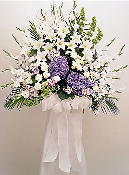 沉痛悼念  寄托哀思！