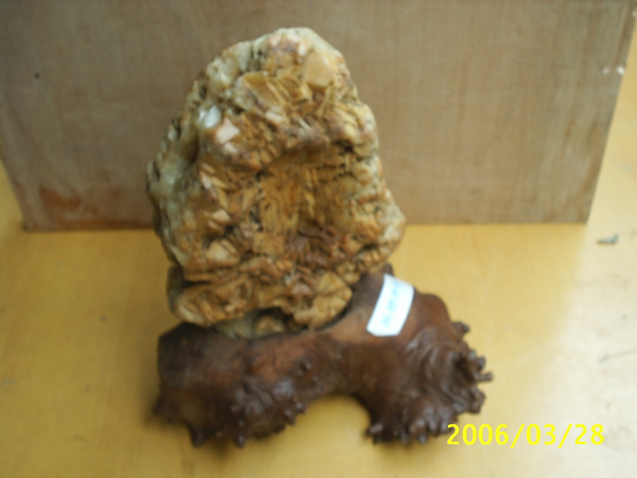 我的珍藏__来自黄山的瑰宝