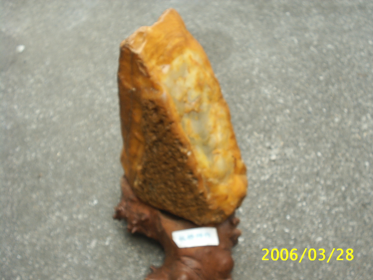 我的珍藏__来自黄山的瑰宝