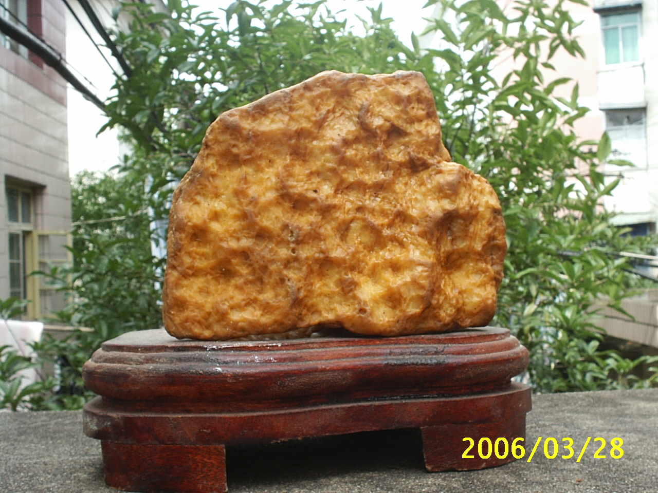 稀世珍品——三洋开泰