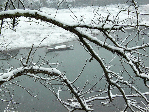 水环境5 副本.jpg