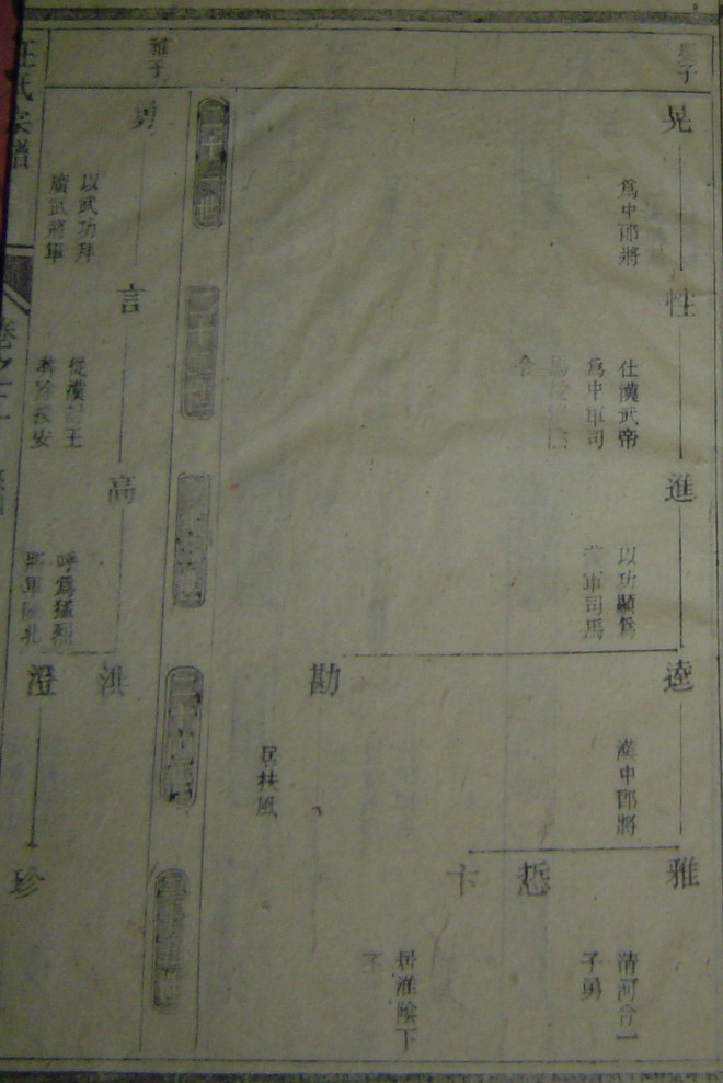 家谱图片9