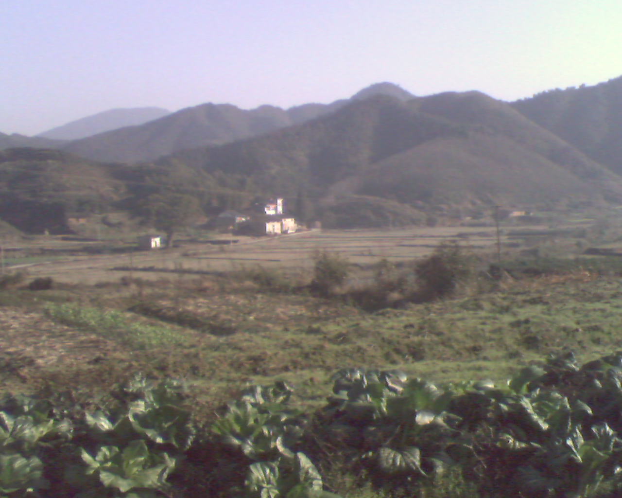 唐下芸薹，唐下派始祖居住地．