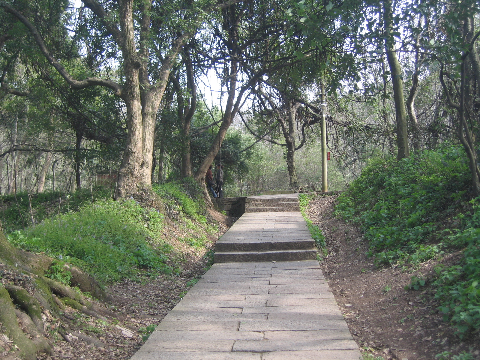 这条路估计就是通向汪王庙大门的路