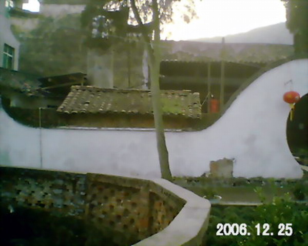 池塘里现在有许多品种的鱼