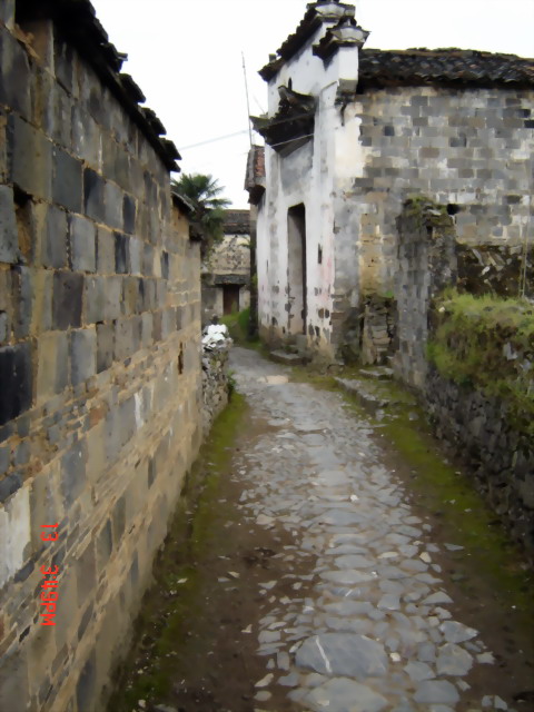 像这样的古村道在大陈有上百条--现在已经有次序的保护起来了