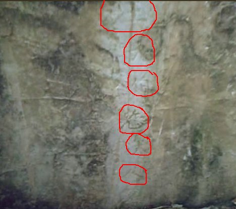 圈红处为&quot;汪元伯老大人&quot;下方还有一个墓字