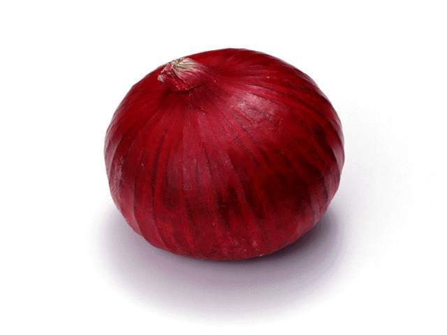 洋葱.jpg