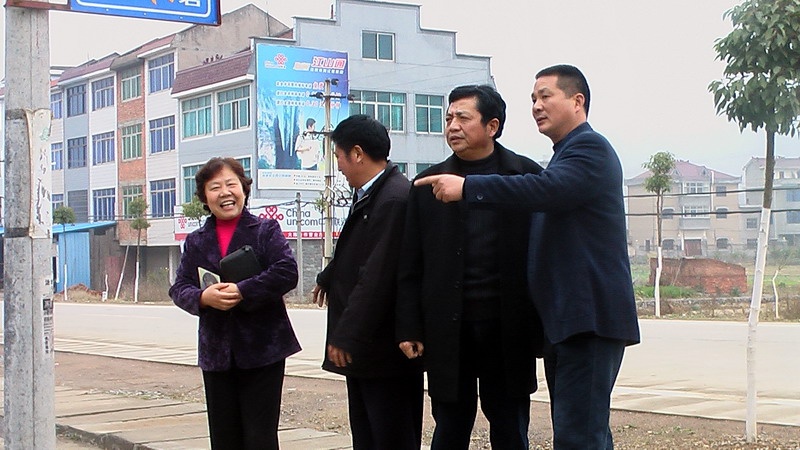 原柯城区人大副主任汪晓伟回家乡寻根