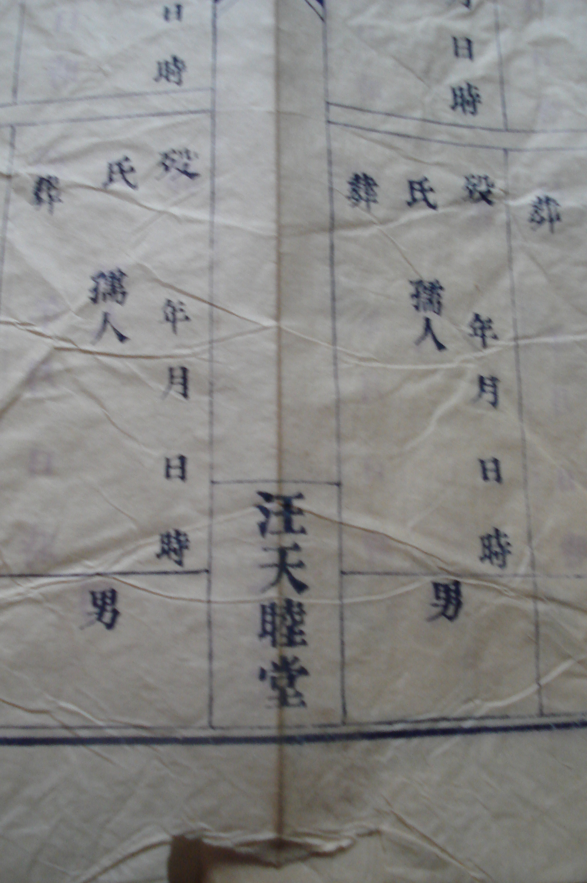 我家不全的家谱