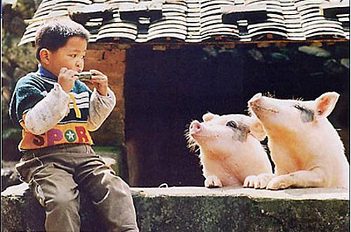 音乐的最高境界