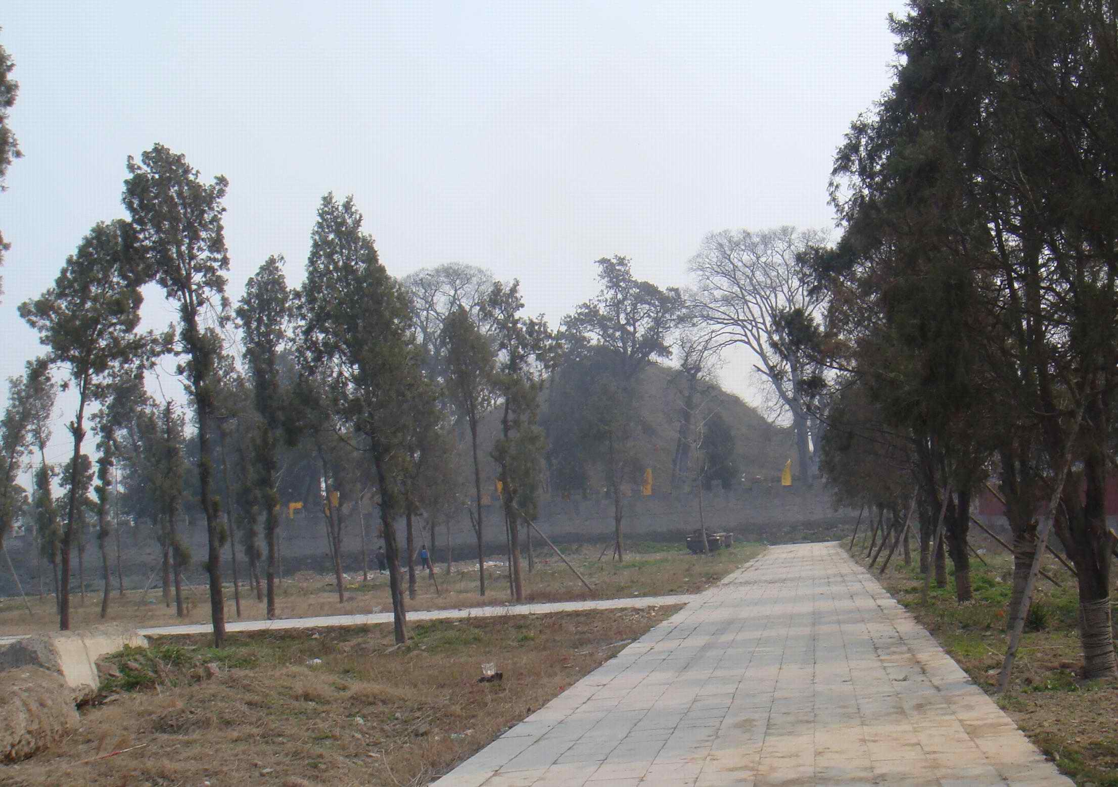 林阴中的太昊陵