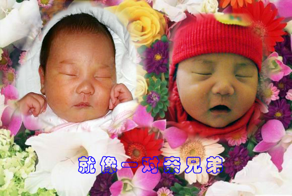 家网上喜事连连，汪伟和汪胜为汪氏添后，长得就像一对双胞胎。