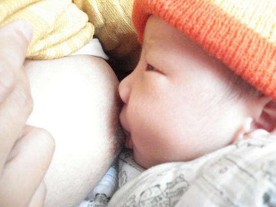 “妈妈，我是吃了你的奶而长大了的 ”