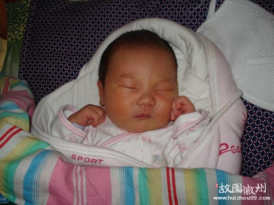 出生5天半照的