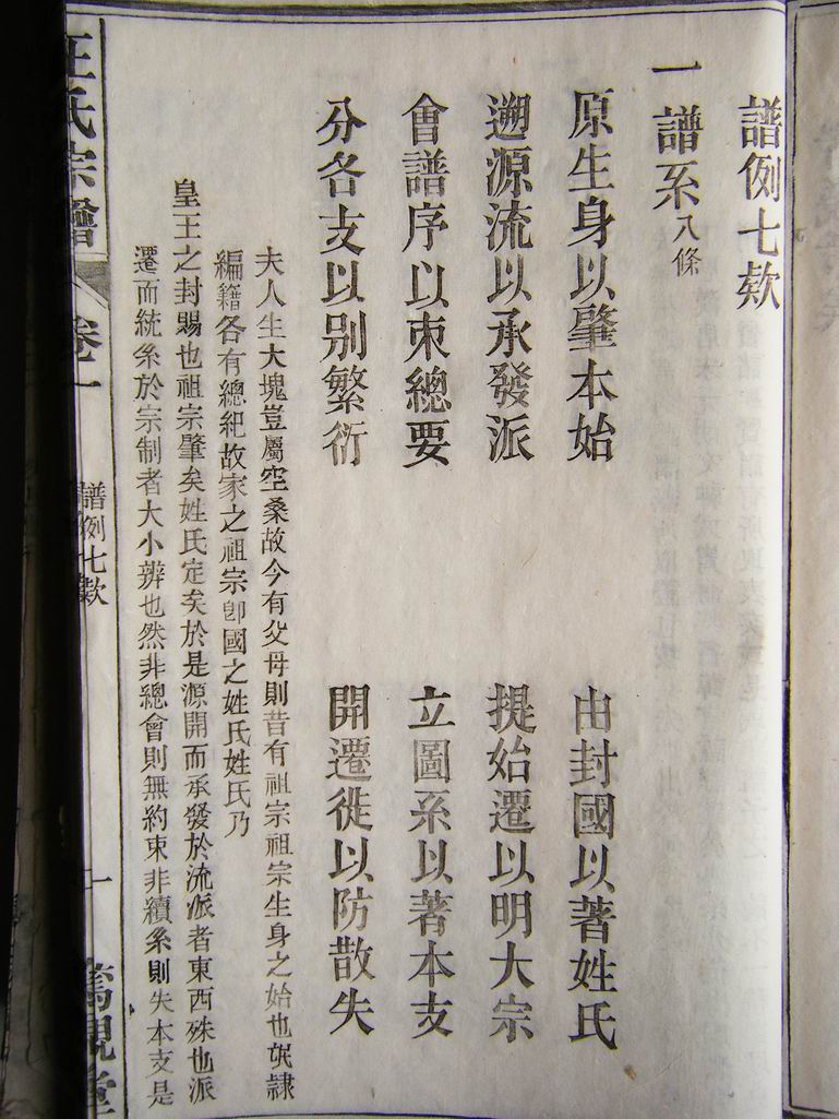 谱系-八条&nbsp; （点击图面,可放全屏）