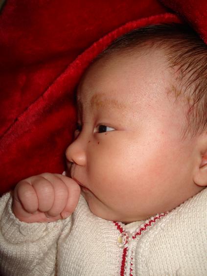 满月照，他爷爷奶奶想要一张，大家帮忙看看选哪张。