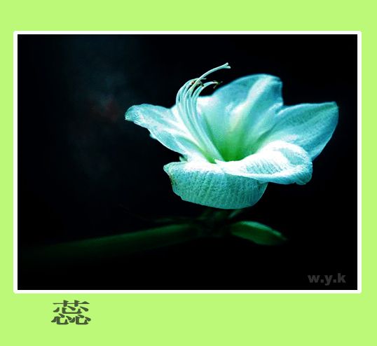 拍了些照片，慢慢给大家欣赏