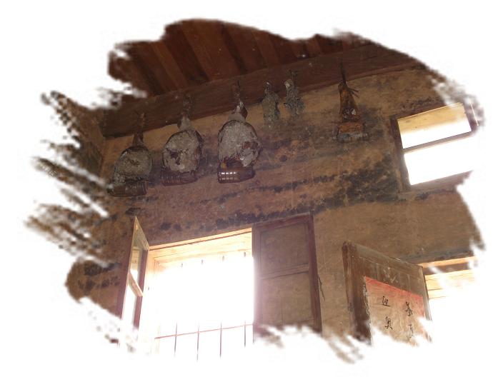 我家的火腿。（一草一木皆有情——木岭后记之22）