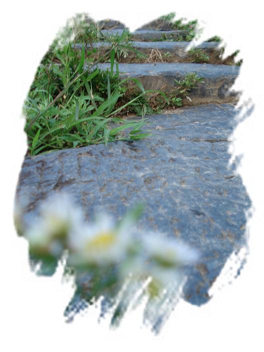 岁月。（一草一木皆有情——木岭后记之6）