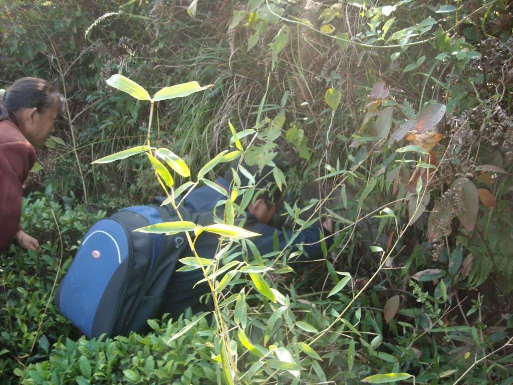 红兴老师正在看老碑文