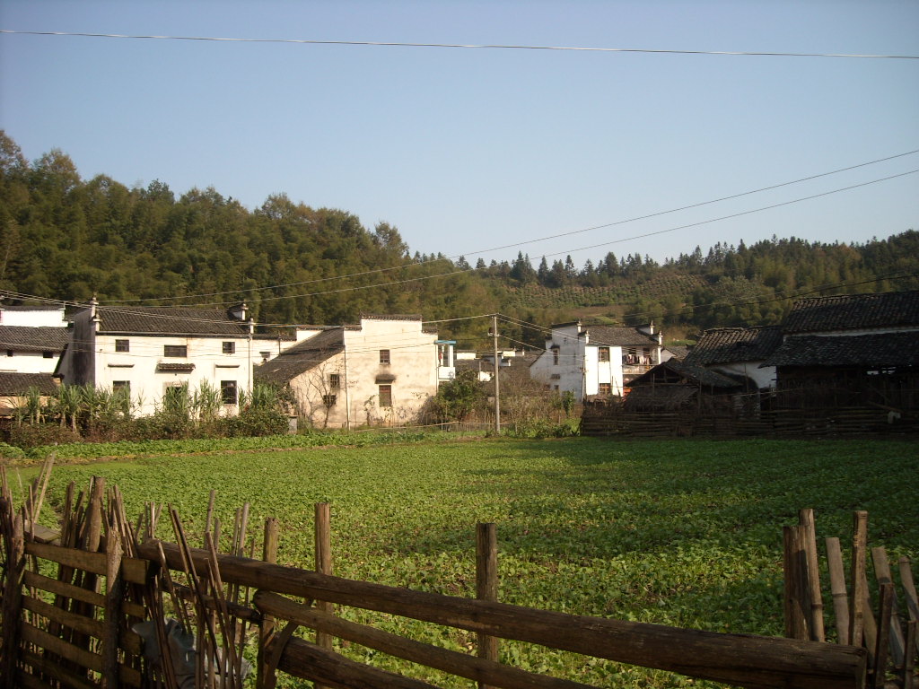 旌城这里面出过十几大官呢