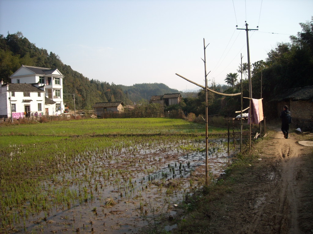 旌城小路，白墙下出水口