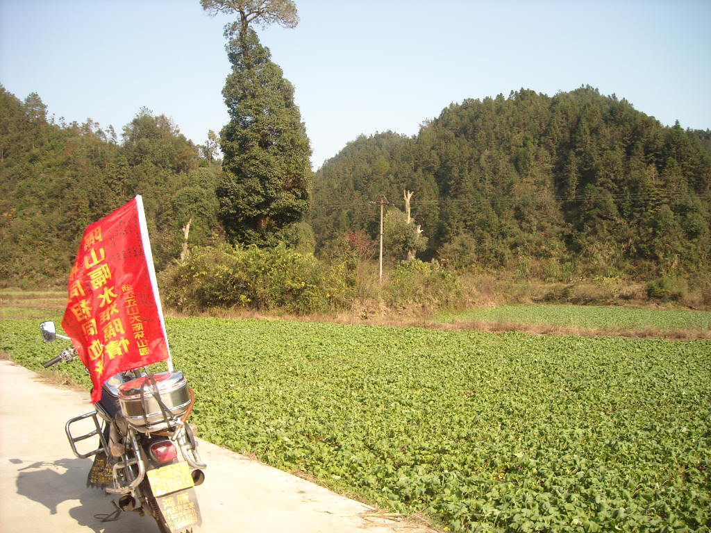 ·源口淡旧址迁桐城始祖居住地