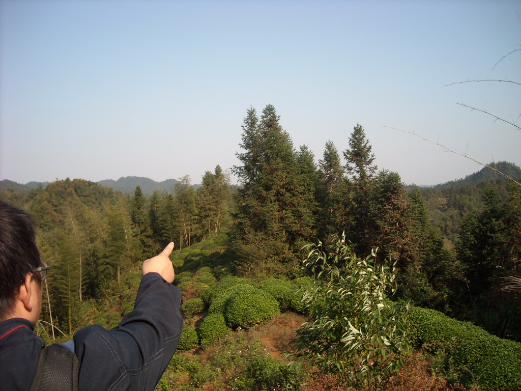 红兴老师在看坟山向