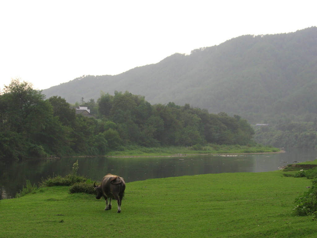半月台前的河滩西侧