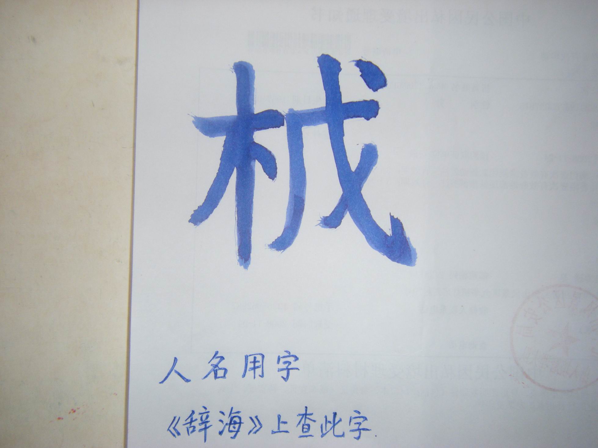 人名，《辞海》上查不到