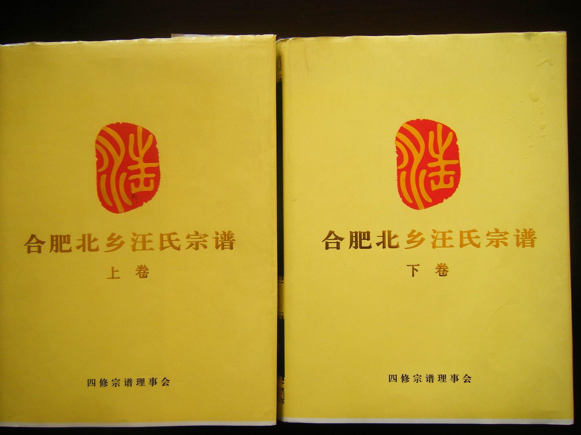 合肥北乡元疃汪氏宗谱上下卷
